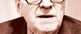 Piteås politiker kallades för fähund och utlovades en dynggrepe