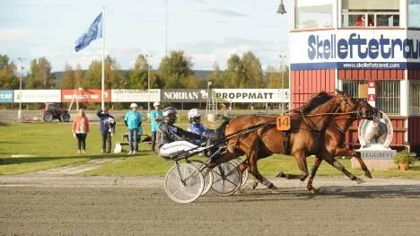 Det bjöds på en hel del raffel under Skellefteås V75-omgång. På bilden ser vi Caballion (invändigt) vinna V75-7 före Nahar.