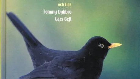 du som vill vinna en fågelbok, maila till elsa.rensfeldt@kuriren.com senast den 23 maj.