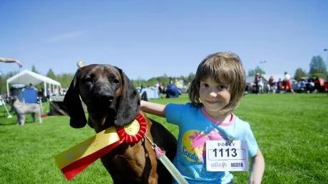 FICK PRIS. Felicia Johansson sprang runt med familjens hund Dumbo efter att han ställts ut. Dumbo är av rasen bayersk viltspårhund.