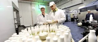 Här är jobbet en smaksak
