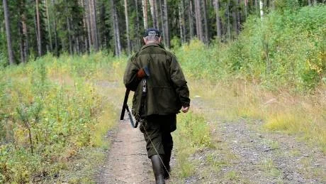 MER LIST. Övertrneås kommunalråd Arne Honkamaa strövar i väg för att hämta in sin hund. Strax efter kom haren som han passat på under dagen skuttande. Frågan är vilken jakt som kräver mer list, harjakt eller jakten på väljarnas röster?