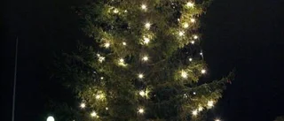 Färre julgranar skapar annan julstämning