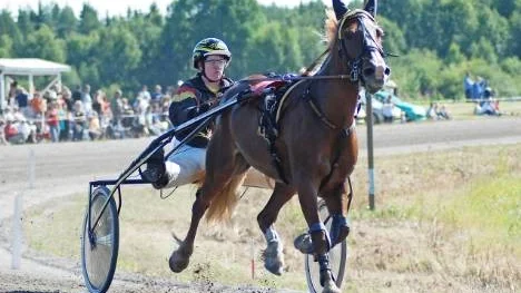 Bångsta Gulla, här med tränaren Britt Lindgren i sulkyn, vann V5-2 på Bodentravet. Det var hästens andra raka seger.