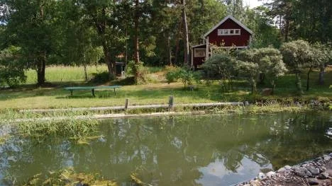 Det är gräsytan hitom de stora träden, ner till vattnet som tvisten om tomtgränsen gäller. Per Unckel har låtit muddra och anlagt gräsmatta på det som tidigare var vatten. I bakgrunden ses landshövdingens sommarstuga.