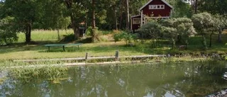 Landshövding kan stämmas på halv miljon