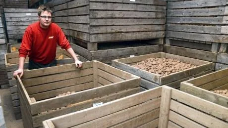 STOPP. Mattias Laitamaa hann odla GMO-potatisen Amflora i två år, men nu är det stopp. "Det är synd för vi hade kunnat få en bra potatissort som inte behöver så mycket kemikalier som konventionell potatis", säger han.