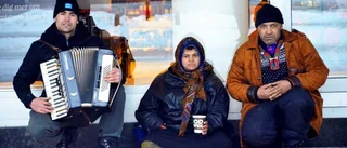 De tigger på gatan – i kylan