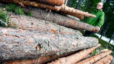 HJÄLP. "Naturen sköter mycket på egen hand, men den behöver hjälp på traven när det handlar om återväxten", säger Alexander Lindgren som varit skogsägare i 13 år nu.