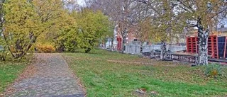 Nysatsning i Grodparken