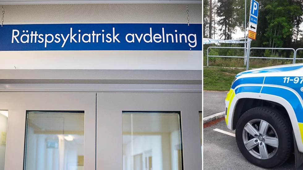 Den 15-årige pojken misstänks lida av en allvarlig psykisk störning. Det visar paragraf sju-undersökningen som blev offentlig på fredagen.
