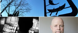 Spelmissbruk ska stävjas som narkotika och andra droger: "Kan se en ökad kombination av dessa problem"