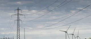 Företagare i energikrisen: "Vi behövs mer än någonsin"