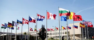 Gunnar Hökmark: Därför bör Sverige gå med i Nato