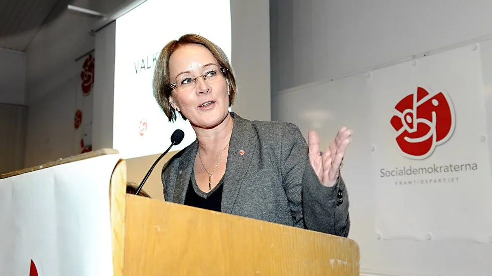 Ett vägskäl för politiken. "Alla politiska partier har minskat i antal medlemmar och mötesformerna vi har haft i hundra år, fungerar inte i dagens värld", Maria Stenberg.