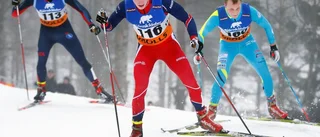 Doldisen hängde på toppen
