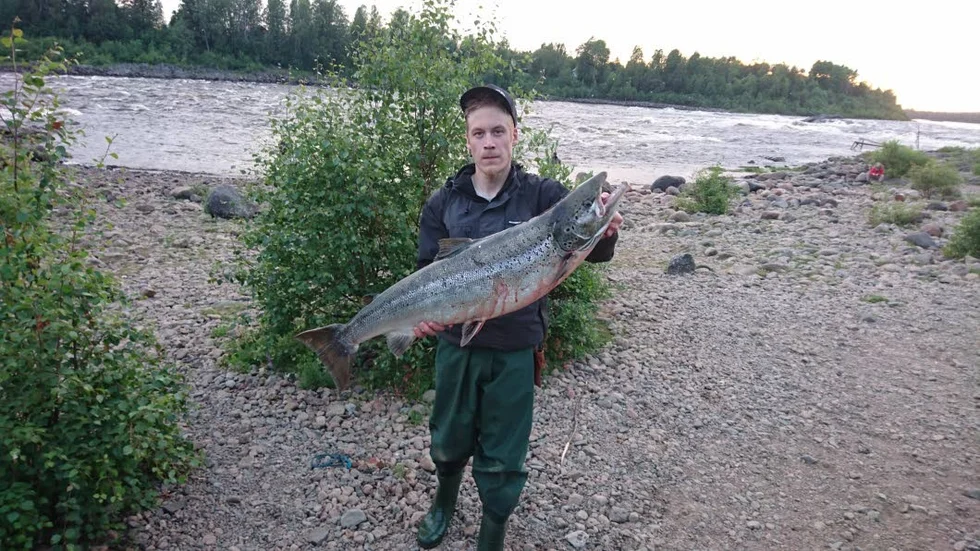 Bjässe. Nästan 13 kilo vägde laxen som Toni Örn drog upp i Torneälven.