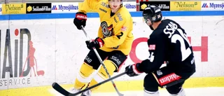 Så går det för AHL-spelarna