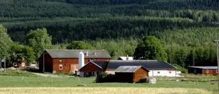 Ledare: Matnyttigt om miljöodlat