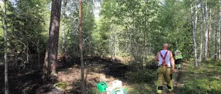 Mindre skogsbrand nära Enköping: "Tio gånger trettio meter stor"