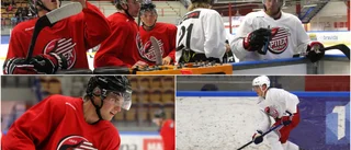 Piteå Hockey klev på is – med besök från NHL