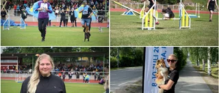 SM i agility avklarat • Hölls för första gången i Piteå: "Det har varit mycket att göra, men spännande"