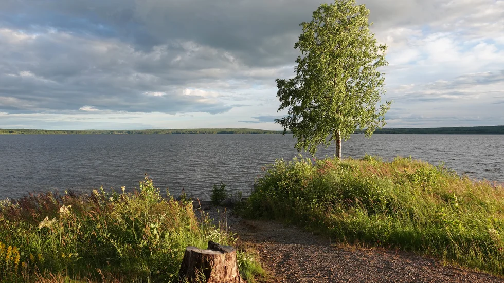 Skymning över Luleälven.