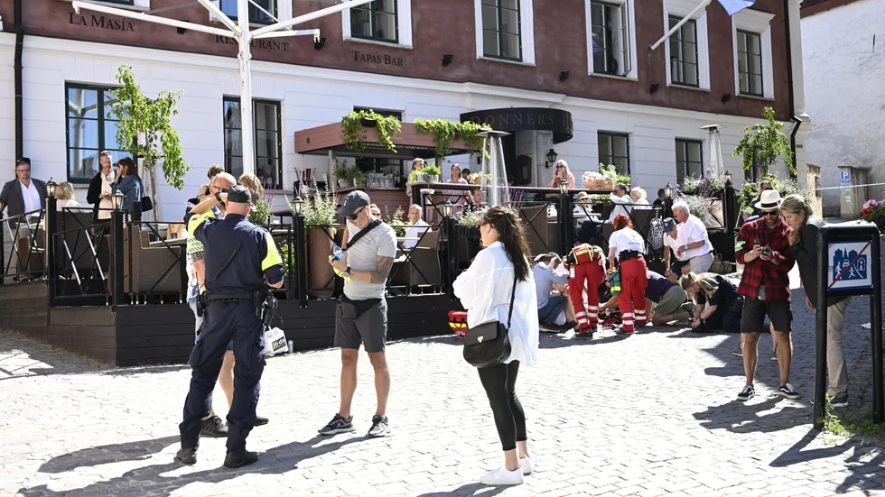 Den 6 juli knivhöggs Ing-Marie Wieselgren till döds på Donners plats, mitt under Almedalsveckan. Theodor Engström har erkänt gärningen och erkänner nu också gärningarna terroristbrott genom mord och terroristbrott genom förberedelse till mord.
