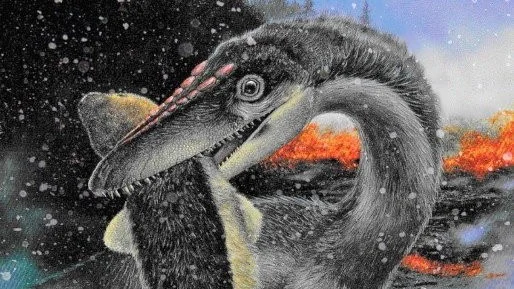 Dinosaurierna klarade kylan bättre än sina konkurrenter.