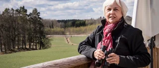 Luft under vingarna för fågelskådningen i Flen