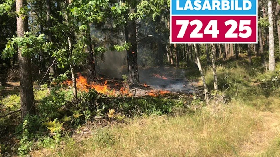 Räddningstjänsten hade vid 18.15-tiden släckt terrängbranden längs väg 214.