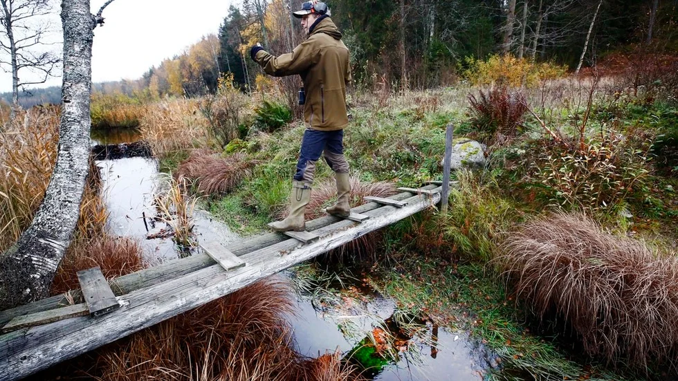 Grannsämjan står på spel uppströms och nedströms vid sjön Norrlången i Ärla. I ena ringhörnan finns ett dikningsföretag som menar att bäverns ständiga fördämningar måste upphöra annars går värdefull odlingsmark förlorad. I andra befinner sig Jonas Roos som menar att bäverns arbete är både bra och viktigt.