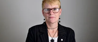 Debatt: Vi kommer vara en liberal nagel i ögat på S