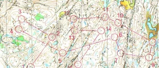 O-Ringen – ett jobb utöver de vanliga