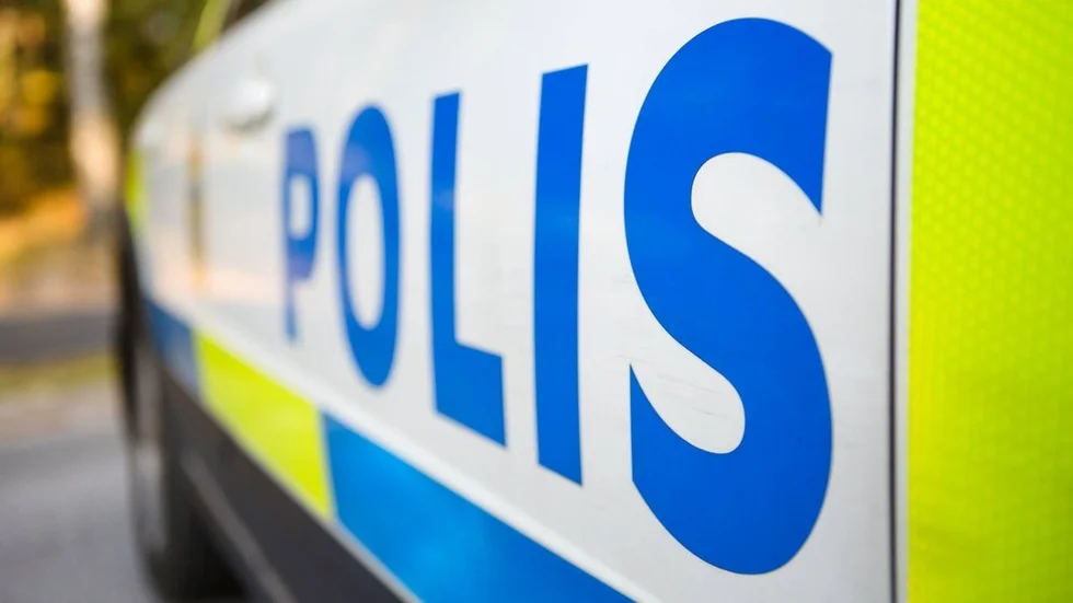 Polismannen säger till tingsrätten att han fick ont av sparken.