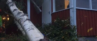 Paret hade änglavakt i stormen: "Nån där uppe måste gilla oss"