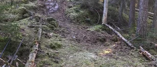 Efter skadegörelsen i naturreservatet – snart inleds återställningsarbete