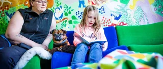 Hund hjälper eleverna med läsningen