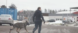 Efter husrannsakan i industriområdet: "Anhållanden går inte att utesluta"