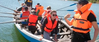 Lejon från Europa på plats i Trosa