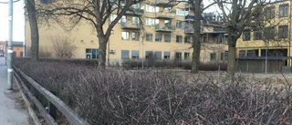 Här planerar KFAB nytt femvåningshus