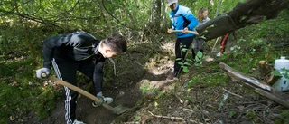 Fler unga jobbar i sommar