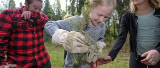 100 elever planterade träd