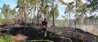 Stort skogsparti eldhärjades i Almunge – läget under kontroll