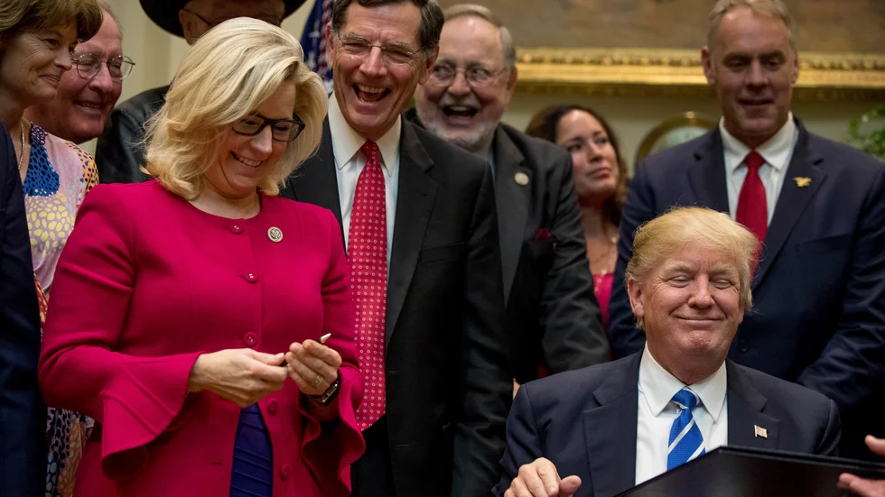 2017 var det glada miner när Liz Cheney och Donald Trump träffades i Vita Huset. Men nu är hon en av hans starkaste kritiker.