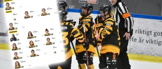 Vunnit SM-guld – nu stannar forwarden i Skellefteå AIK • Se hela truppen här