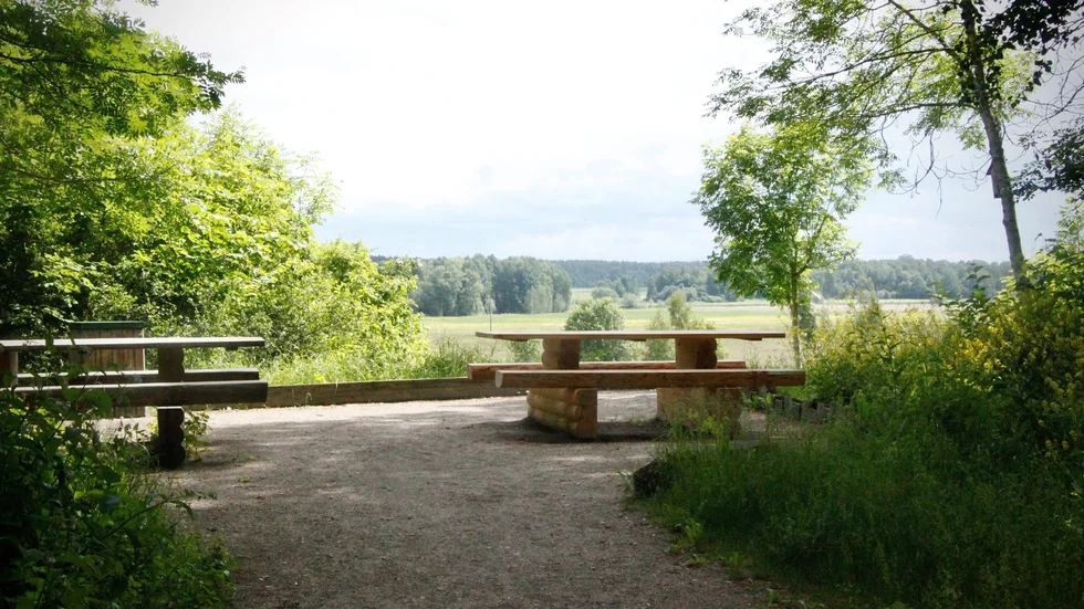 Gröngarnsåsen-Dyarna ska bli ett naturreservat.