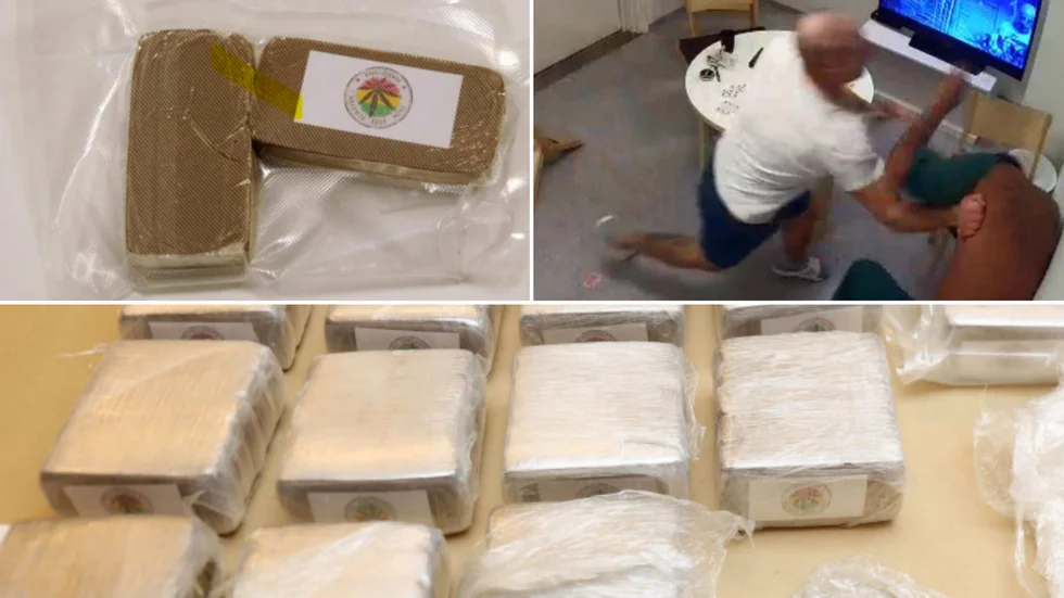Rätten bedömer att 37-åringen organiserat införsel av cannabis och hasch om sammanlagt 103 kilo.