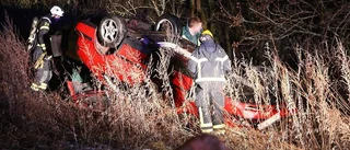 Voltade ut i skogen under biljakt