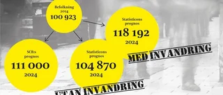 Svårt klara välfärden utan invandring